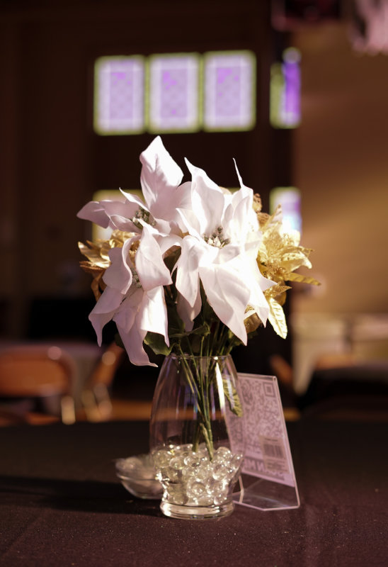 Image gallery image
